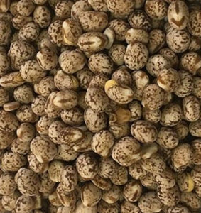 Puntapin Whole Lupins