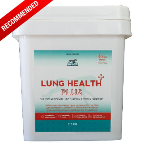 Lung Health Plus 2.5kg DISCONTINUED