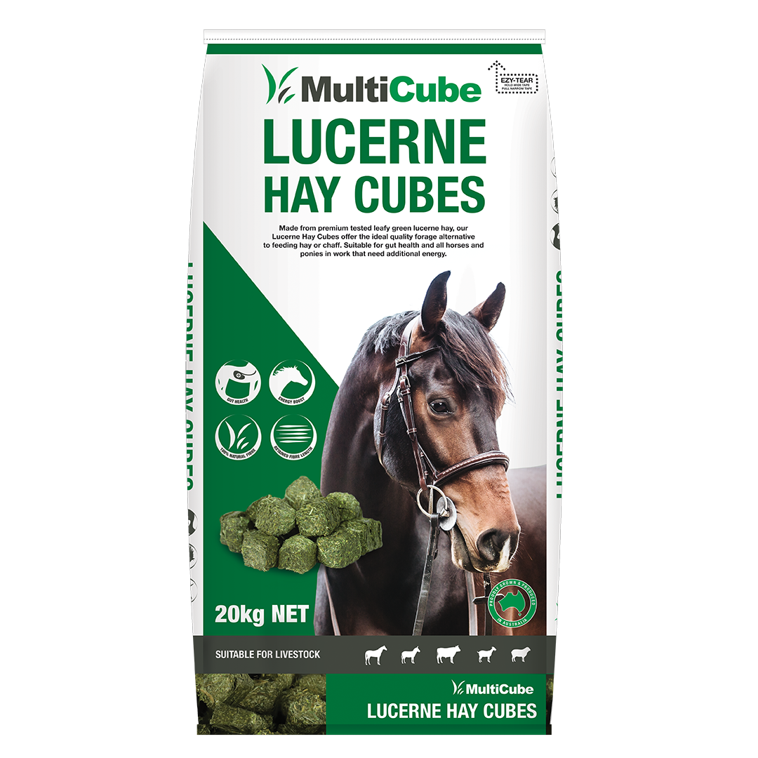 Multi Cube Lucerne Green