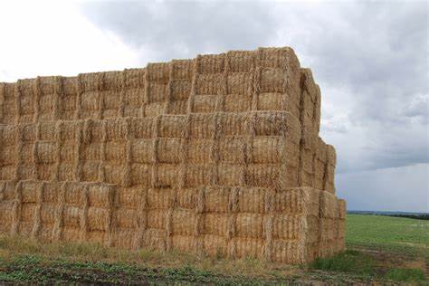 Hay Square Large