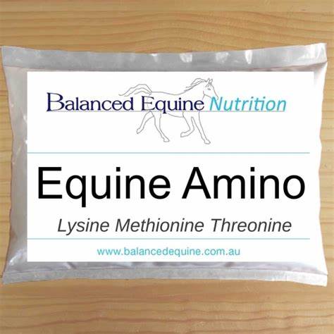 Equine Amino 2kg