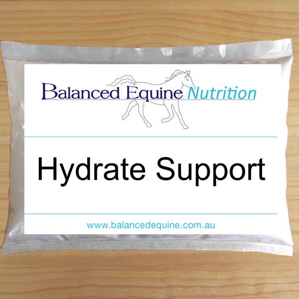 Balanced Equine Hydrate Support 1kg