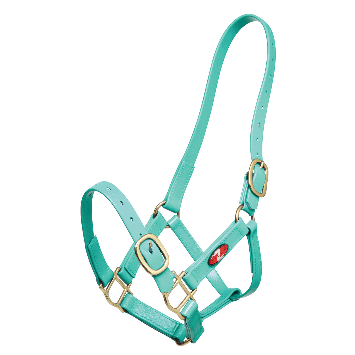 Halter Zilco Pn 25mm Cob Turquoise