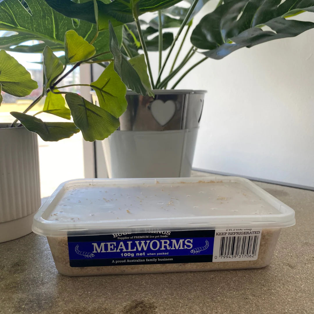 Meal Worms 100g Tub