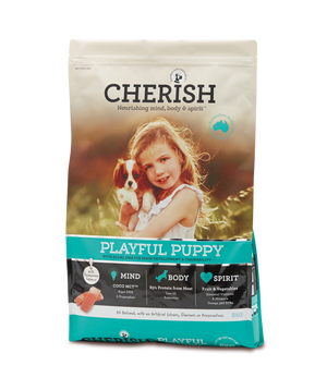 Cherish Dog Puppy Playful 8KG