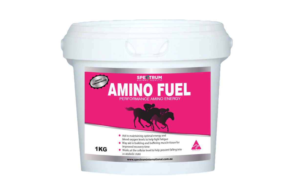 Spectrum Amino Fuel Paste 80ml