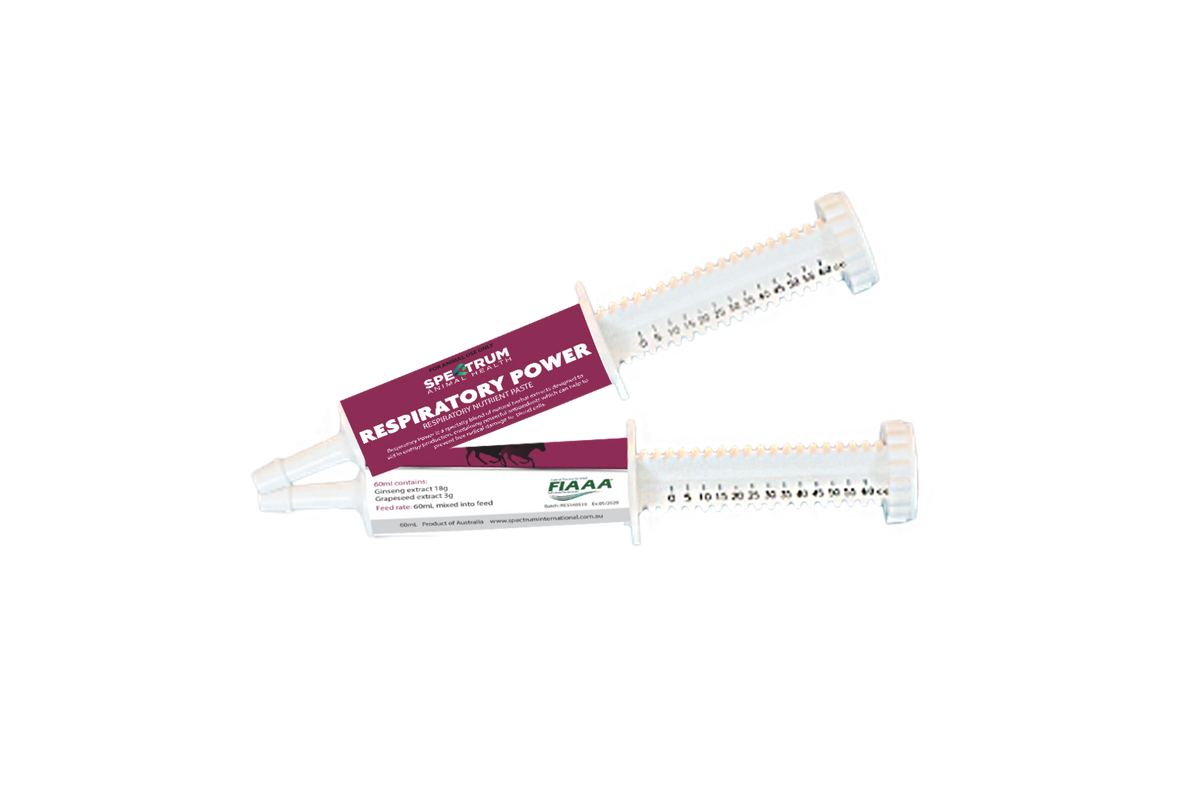 Spectrum Respiratory Power Paste 60ml