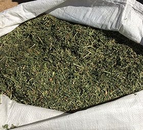 Lucerne Chaff White Bag