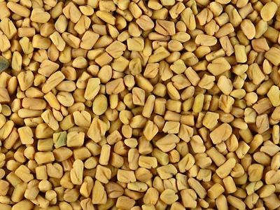Fenugreek Powder 1kg package