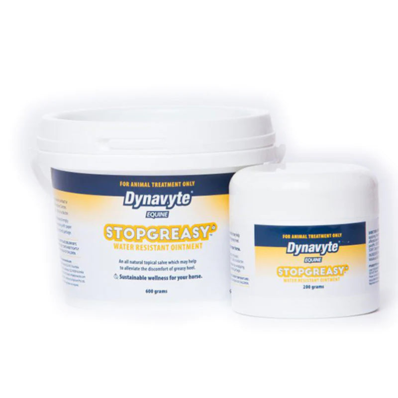 Dynavyte Stop Greasy Excel Performance Plus