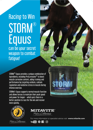 Vitamite Storm Equus