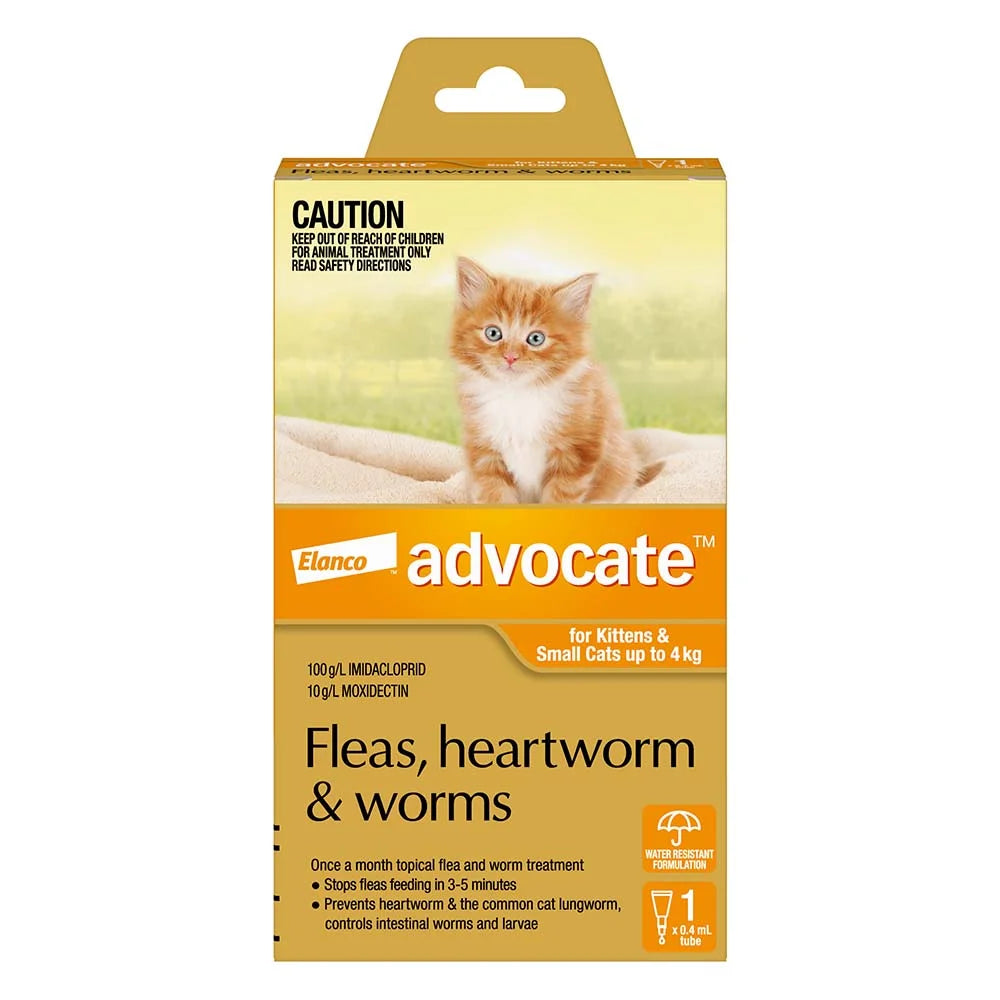 Advocate Cat Kittens And Small Cats Orange X 3 Pack