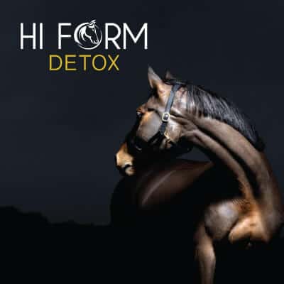 Hi Form Detox