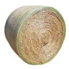 Hay Oaten Roll Small