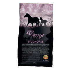 Harrys Choice Stud Horse