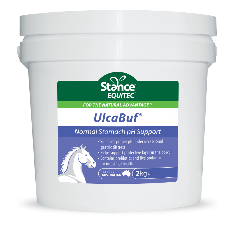 Stance Ulcabuf 2kg