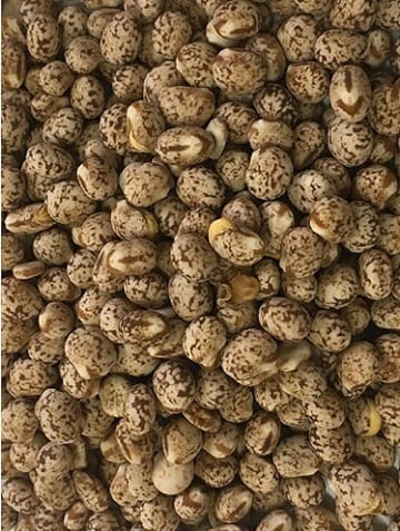 T&R Whole Lupins 25kg