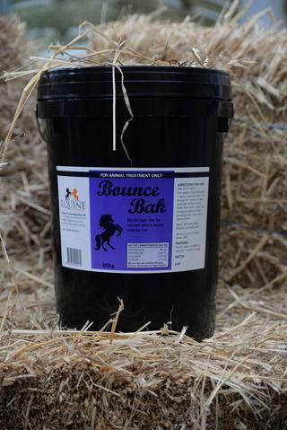 Equine Technology Bounce Bak
