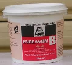 Endeavon B