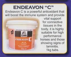 Endeavon C 1kg