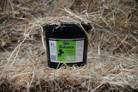 Equine Technology Bio-Balance