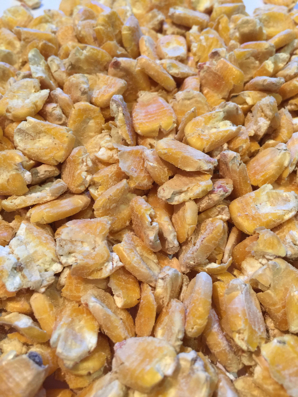 Crushed Maize 20kg