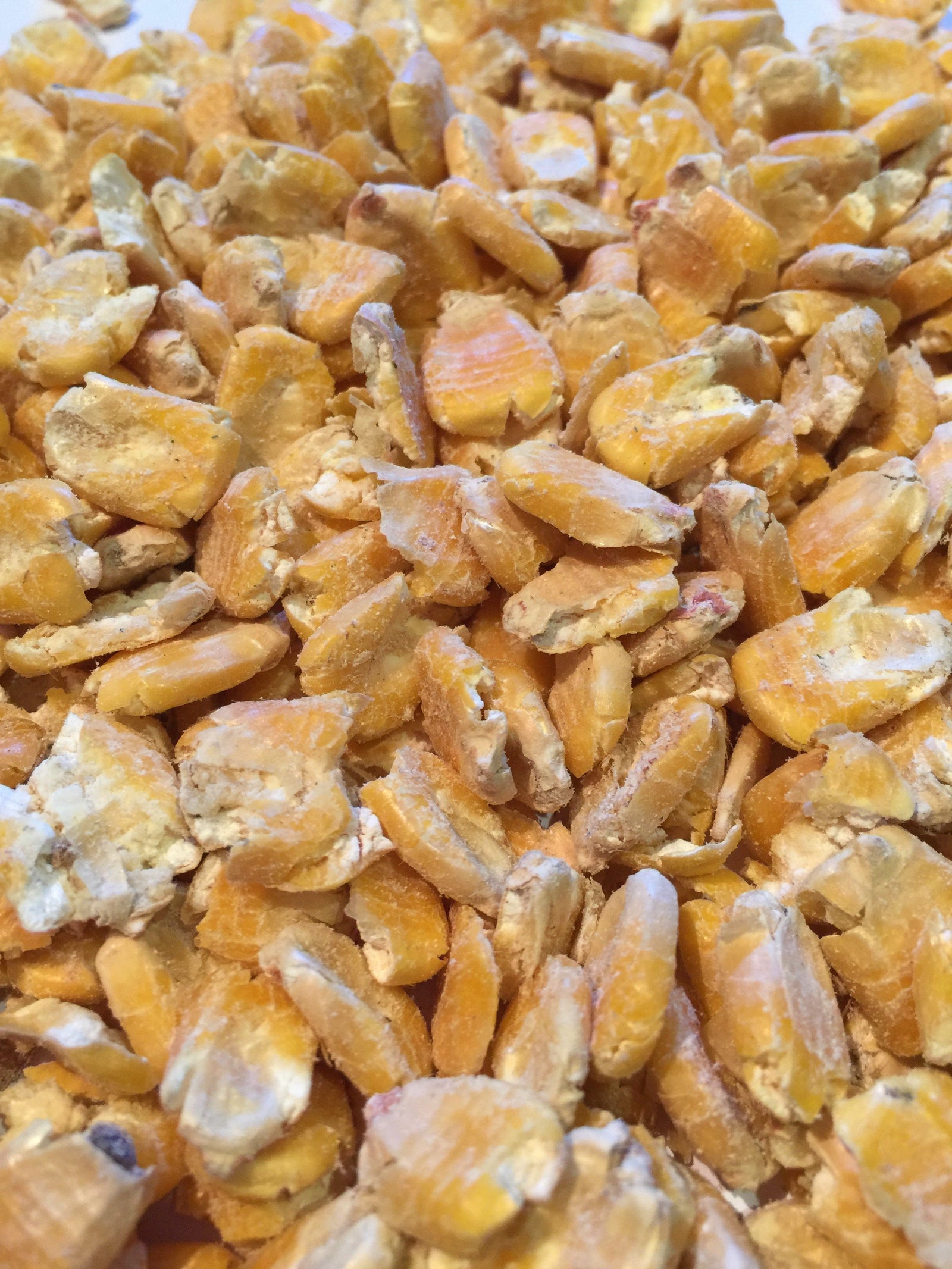 Crushed Maize 2kg