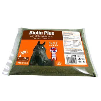 Biotin 500gm - AHS