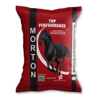 Morton Top Performance