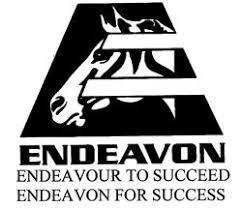Endeavon Horse Honey