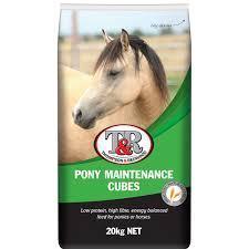 T&R Pony Maintenance Cubes
