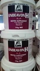 Endeavon H