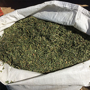 Western Hay Chaff Compressed Plastic Cube Lucerne