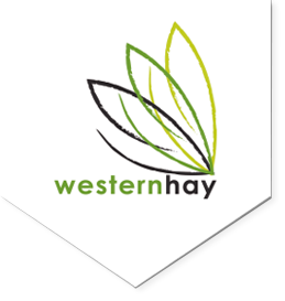 Western Hay Chaff Compressed Plastic Cube Green Mix